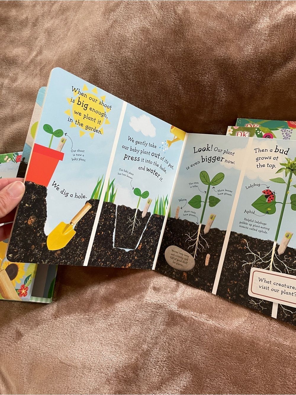 DK Kids Books Watch Me Grow Collection Nature Exploration Lifecycle Early Reader - Picture 6 of 13
